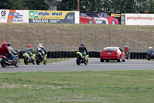 FZR_Pinkstaff_030